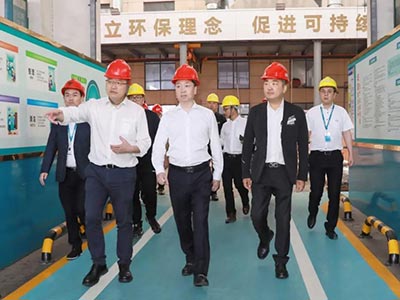 启发合作 共赢发展｜热烈欢迎文成县县长罗招政一行莅临集团调查调研