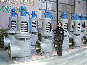 CMD368为华能热电项目交付一批高温高压安全阀Delivered a Batch of Safety Valves for China Huaneng Thermal Power Project