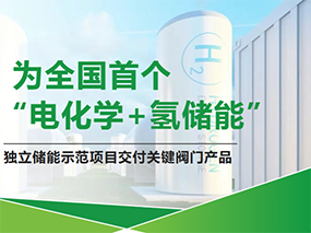 CMD368服务全国首个“电化学+氢储能”示范项目Serving China’s First‘Electrochemical+Hydrogen Energy Storage’Demo Project