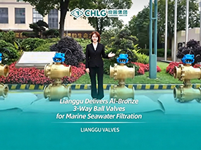 CMD368为船舶海水过滤系统交付一批铝青铜联动式三通球阀组 LIANGGU Delivers Al-Bronze 3-Way Ball Valves for Marine Seawater Filtration